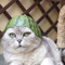 Stoned_Baron