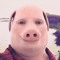 John Pork #HAWKTUAH era
