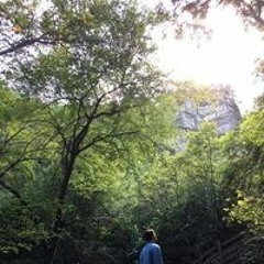 김경일