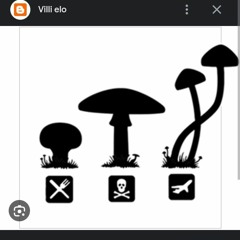 pejjas