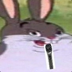 BIG CHUNGUS ON THE MIC