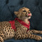MARiAM