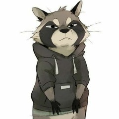 thedanielraccoon
