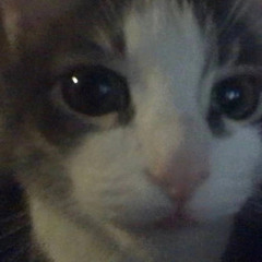 User 21246132622814881734