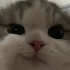 krky