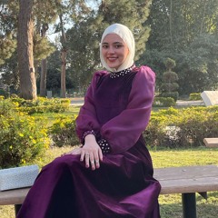 Bedor Mahmoud