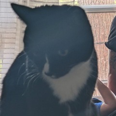 pookie