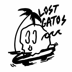 Lost Gatos