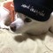 ヒョク