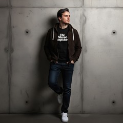 The Stereo Inspectors