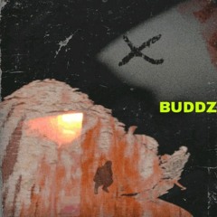 BUDDZ