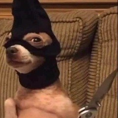 TacoDude