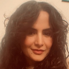 Parisa Amani