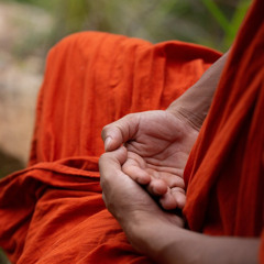 yogin