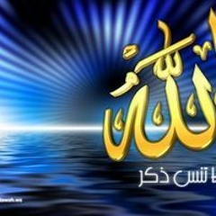 جيجي الديب