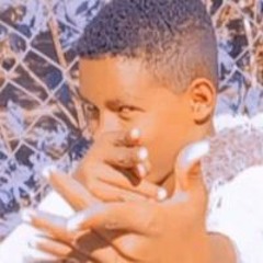 بكري شريف عمر