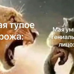 ⚙️🧊NASTROYKI🧊⚙️