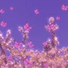 Daisy🧚🏼‍♀️