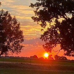 українське немовлятко