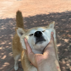 Ghigo Ferroni