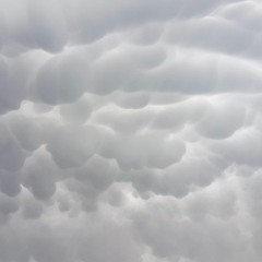 Speculum Pila Fractis