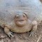 SwamiG