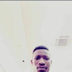 Elvesfithuring Decipane Junior