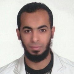 محمد فتحى