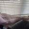 MuscleDJTricepFlex