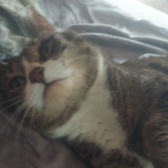 Seamus