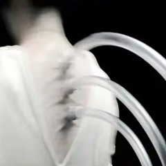 yasosalbomshuza10grn