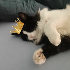 godofcats00