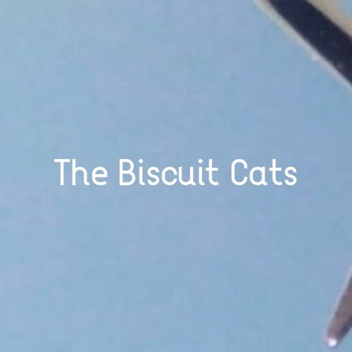 Stream The Biscuit Cats music Listen to songs, albums, playlists for free on SoundCloud