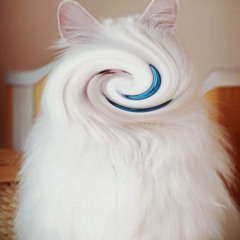 kimoWEEB