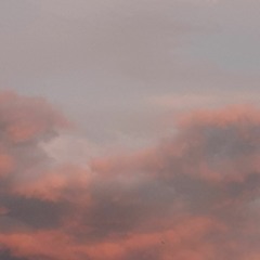 MRTMMVMNT