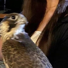 ʜ ĸ ّ