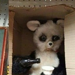 1080pbearsuit