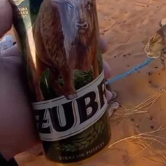 Lobix