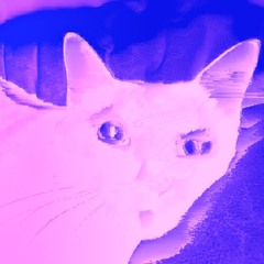 brig;