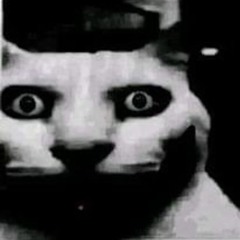 digi