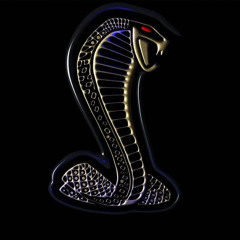 Mohamed Js
