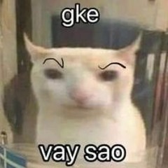 Lê Trần Tuấn Anh