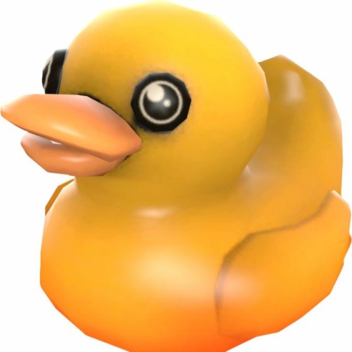 Ducks’s avatar