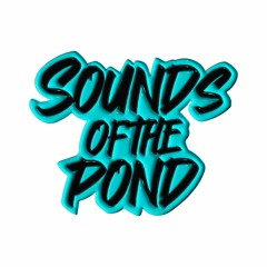 Sounds Of The Pond