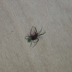 scaryy