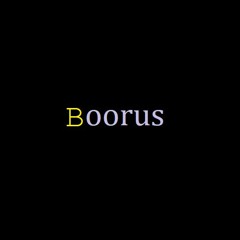 Boorus