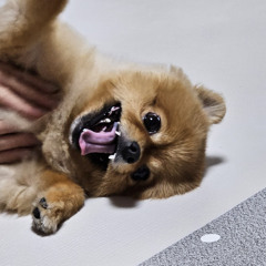 윱잉