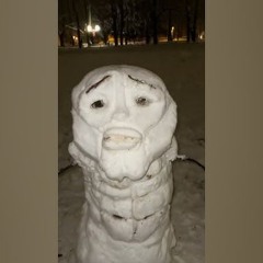 ohio monkey