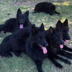 KILLA💤INC🅾️R🅿️🅾️🅰️RA🅰️TED