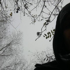 Maximilian Heinzmann